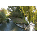 Imagen de: Tubilla del Lago 8