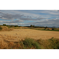 Imagen de: Llano de Bureba 7